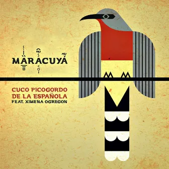 Cuco Picogordo De La Española by Maracuyá