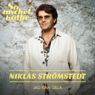 Jag kan gilla by Niklas Strömstedt