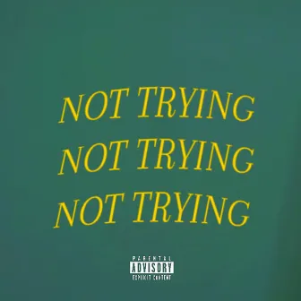 NOT TRYING 1 by Auggy Gibbz