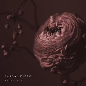 Abundance by Pascal Dirac