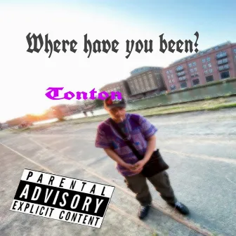 Where Have You Been (Remix) by Tonton