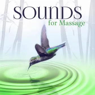 Sounds for Massage - Spa & Yoga, Relaxation, Meditation, Reiki, Wellness, Sleep, Natural White Noise, Reflexology, Shiatsu, Physical Therapy by Amazing Spa Universe