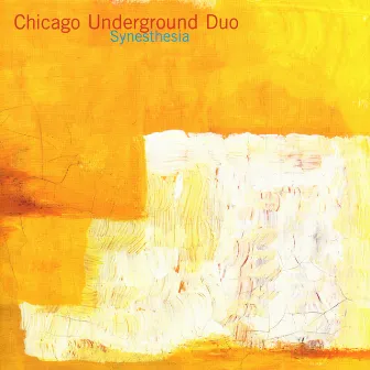 Synesthesia by Chicago Underground Duo