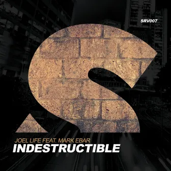 Indestructible by Mark Ebar