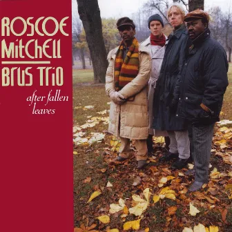 After Fallen Leaves by Brus Trio