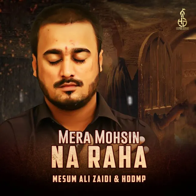 Mera Mohsin Na Raha