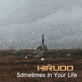 Sometimes In Your Life by Hirudo