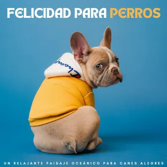 Felicidad Para Perros: Un Relajante Paisaje Oceánico Para Canes Alegres by Radio de música para perros