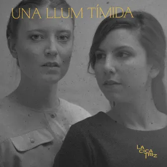 Una Llum Tímida by Una Llum Tímida