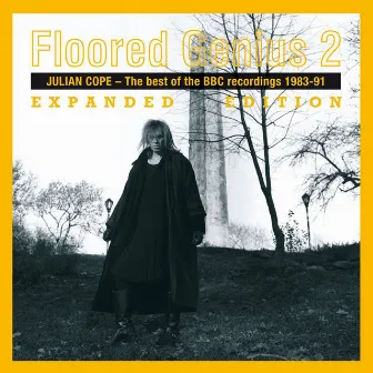 Floored Genius Vol. 2 - Expanded Edition by Julian Cope