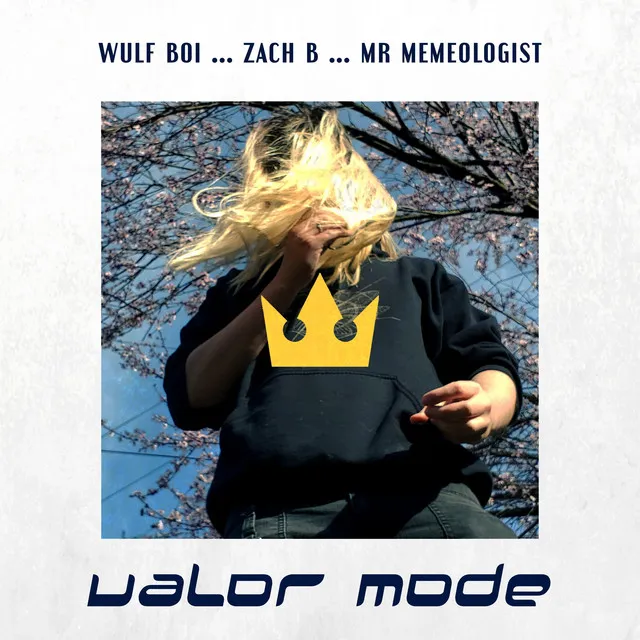 Valor Mode