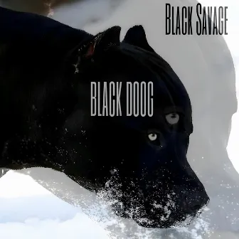 Black Doog by Savage