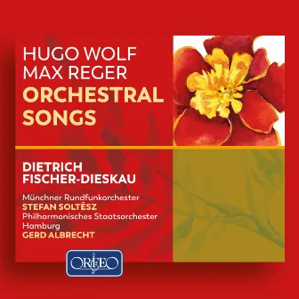 Wolf & Reger: Orchestral Lieder by Unknown Artist