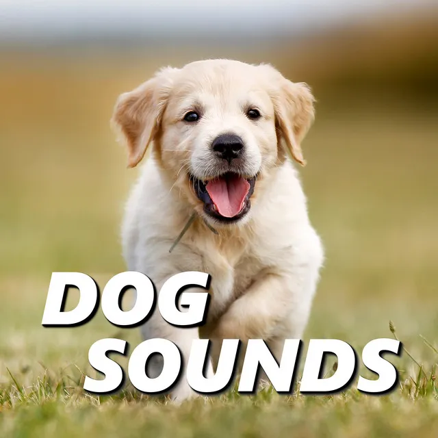 Dog Sounds