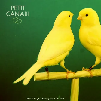 PETIT CANARI by Lilron'