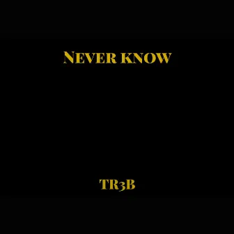 Never Know by Tr3b