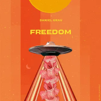 Freedom by Daniel Grau