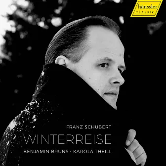 Schubert: Winterreise, Op. 89, D. 911 by Karola Theill