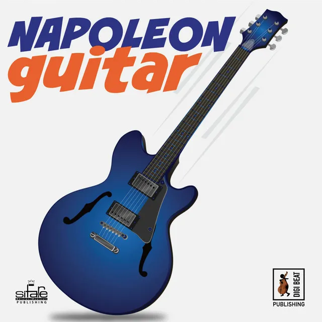 Napoleon Guitar