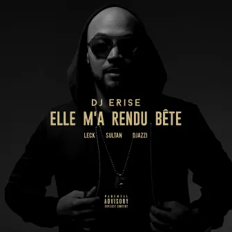 Elle m'a rendu bête by DJ Erise