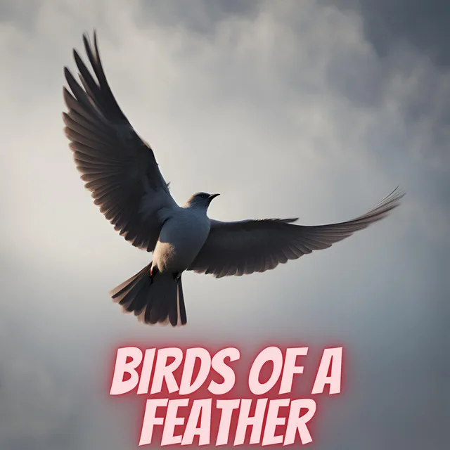 Birds of a Feather - House