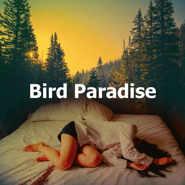 Bird Paradise