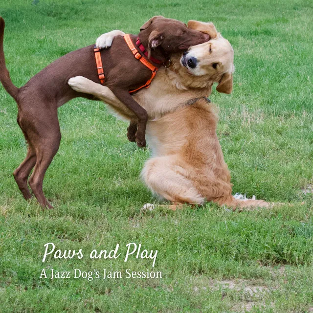 Paws and Play: A Jazz Dog's Jam Session