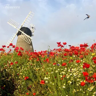 Flowers by Kenny Mitchell