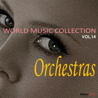 Orchestras Vol.14 by 