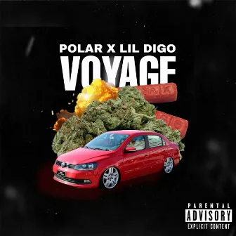 Voyage by Young Polar