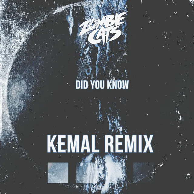 Did You Know (Kemal Remix)