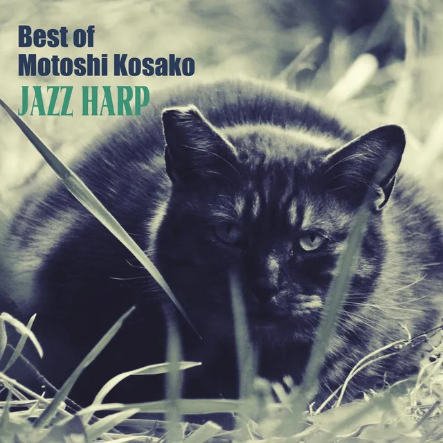 Jazz Harp (Best of Motoshi Kosako)