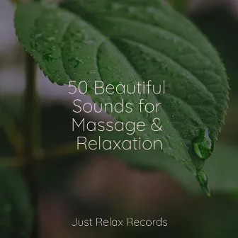 50 Beautiful Sounds for Massage & Relaxation by Rest & Relax Nature Sounds Artists