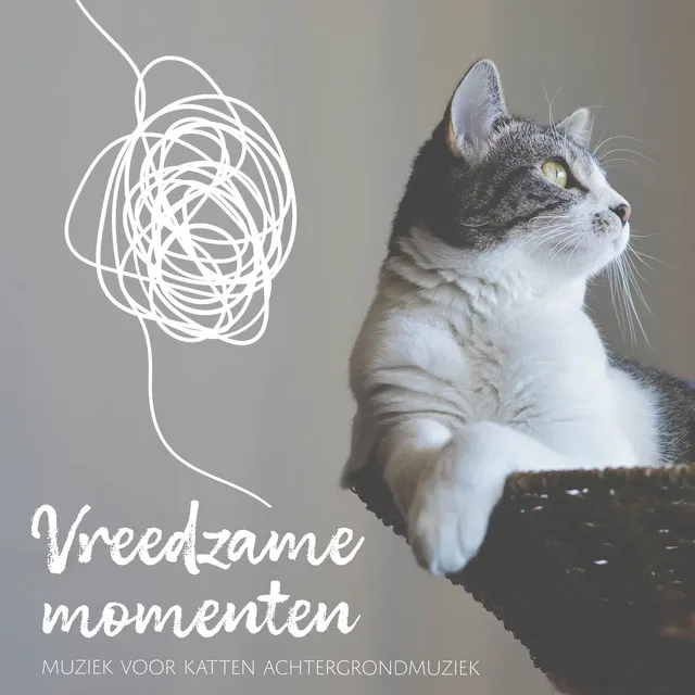 Muziek voor Katten Achtergrondmuziek