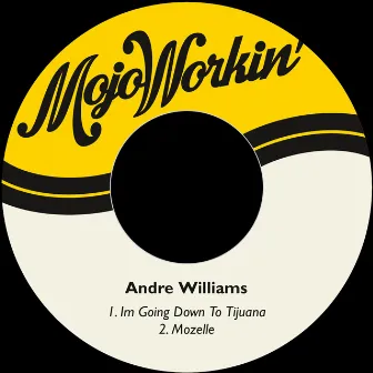 Im Going Down to Tijuana by Andre Williams