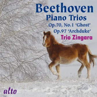 Beethoven: Piano Trios 