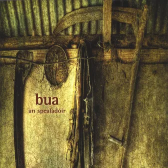 An Spealadóir by Bua