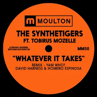 Whatever It Takes by The SyntheTigers