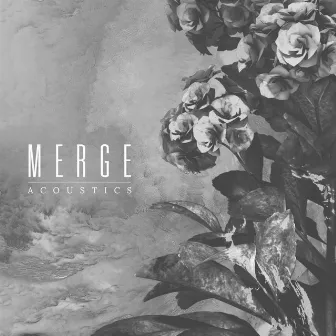 Ineffable Acoustics by Merge