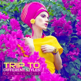 Trip to Different Styles of Chillout: 2019 Chill Out Music in Styles of Many Cultures Like Arabian, Oriental & Indian by Chill Music Universe