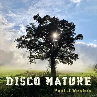 Disco Nature by Paul J Weston