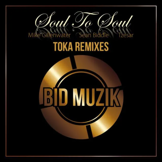 Soul to Soul - Toka Organic Dub