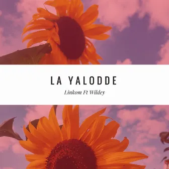 La Yalodde by Linkom