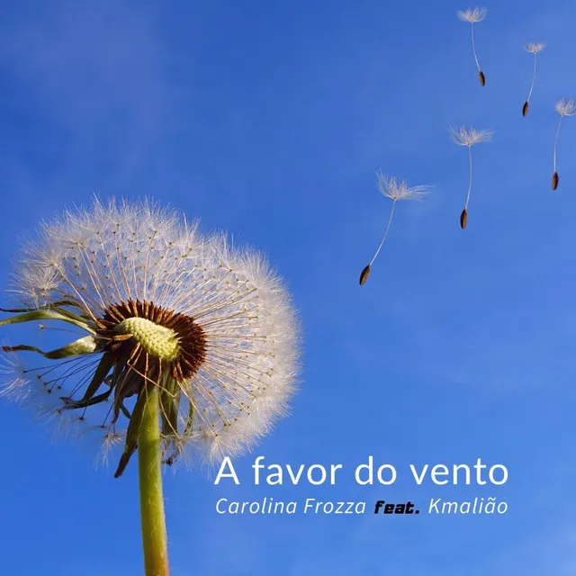 A favor do vento