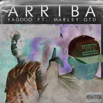 Arriba by Marley GTD