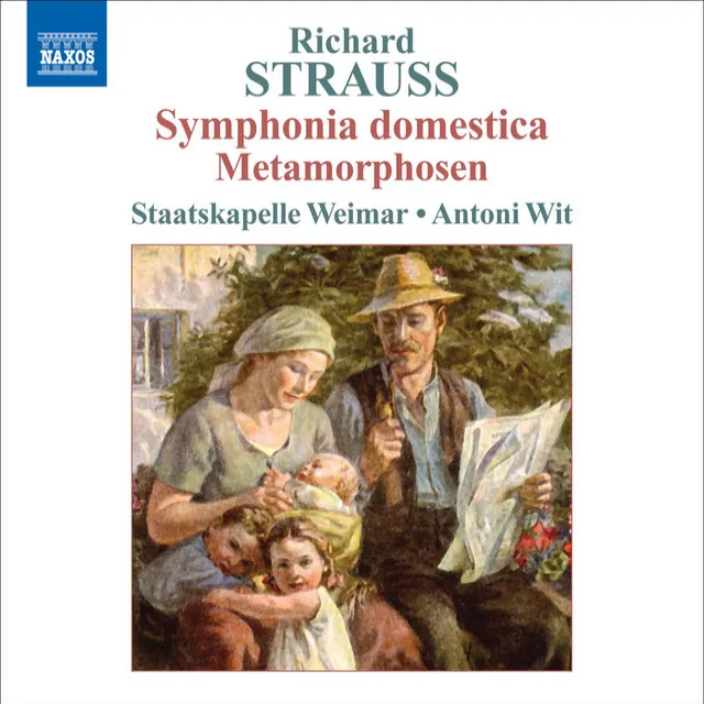 Symphonia domestica, Op. 53, TrV 209: Wiegenlied -