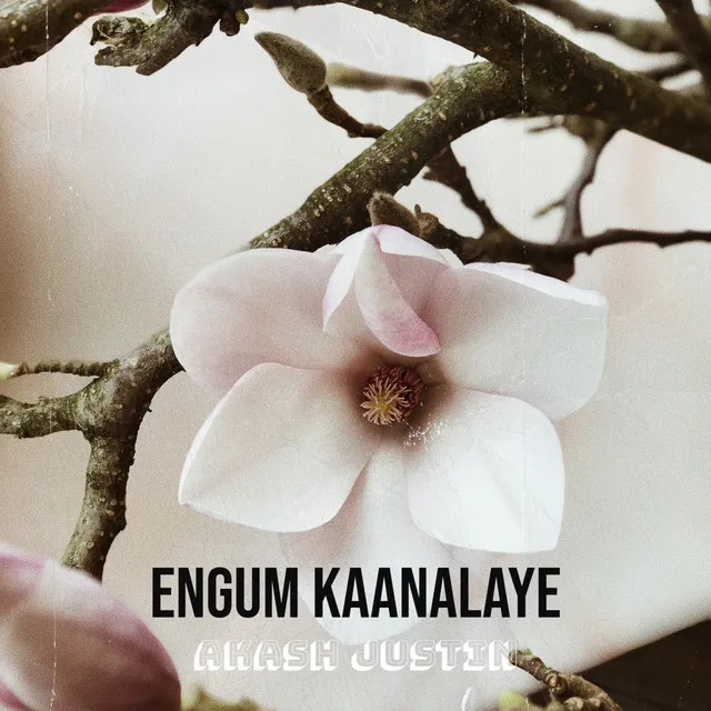 Engum Kaanalaye