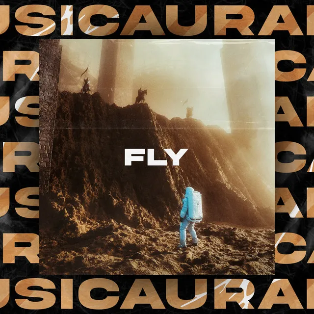 Fly