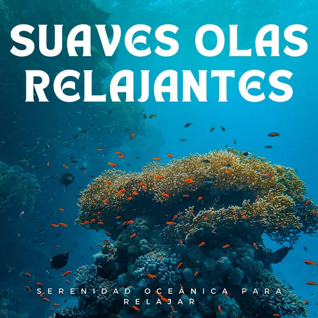 Oasis Oceánico En La Naturaleza