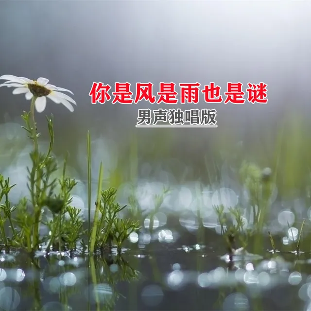 你是风是雨也是谜 - 伴奏版